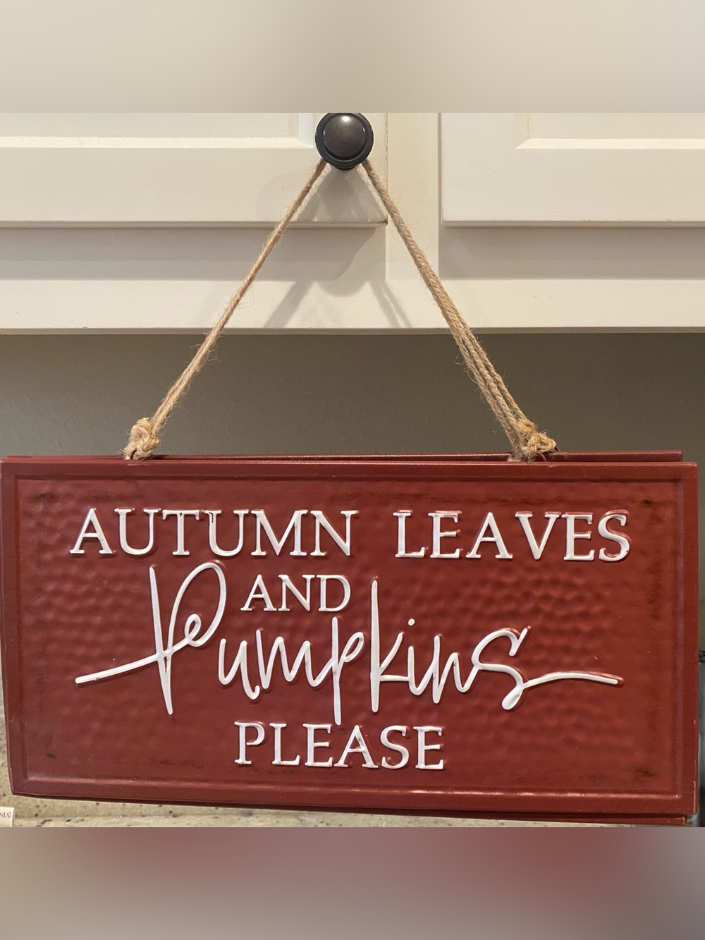 Reserve 1 for Jen B. Autumn Leaves and Pumpkins Please - Hanging sign. 15 x 8